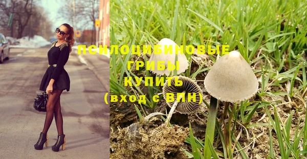 стафф Дмитриев
