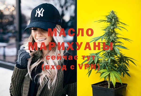 амф Дмитров