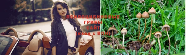 амф Дмитров