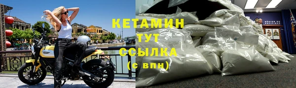 амф Дмитров