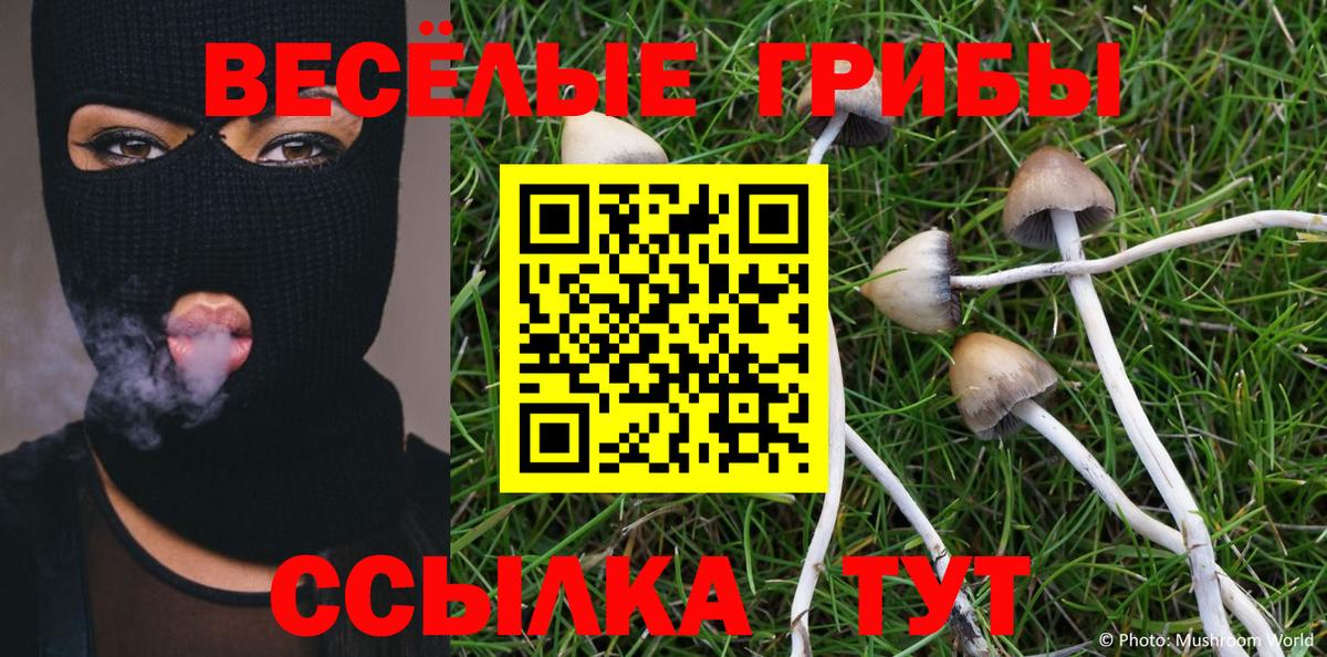 Псилоцибиновые грибы мицелий  купить наркотик  Дивногорск 